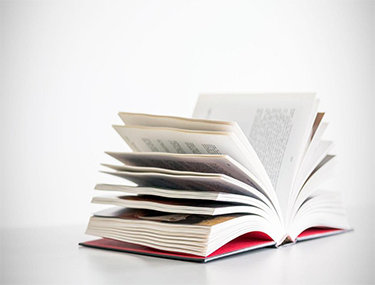E-MBA IN MARKETING MANAGEMENT